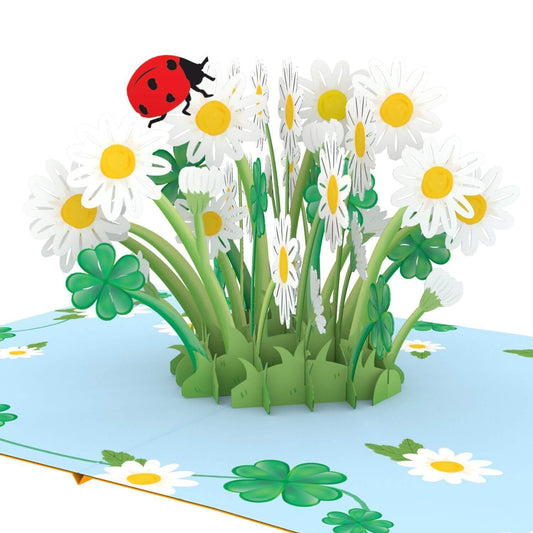 papercrush® Pop-Up Karte Marienkäfer & Gänseblümchen